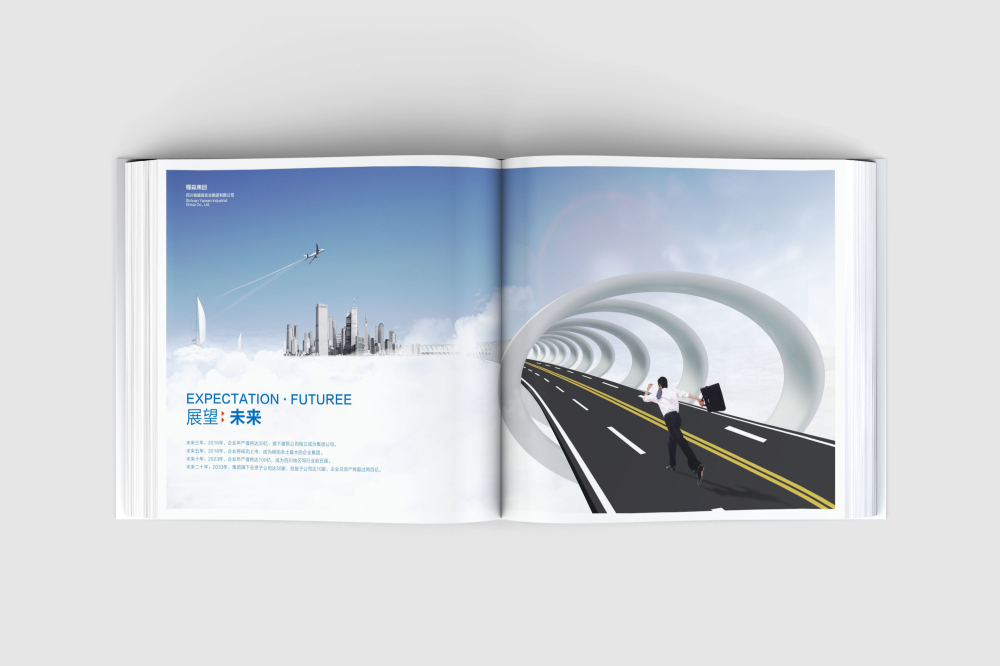 南湖区画册设计